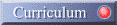 Curriculum